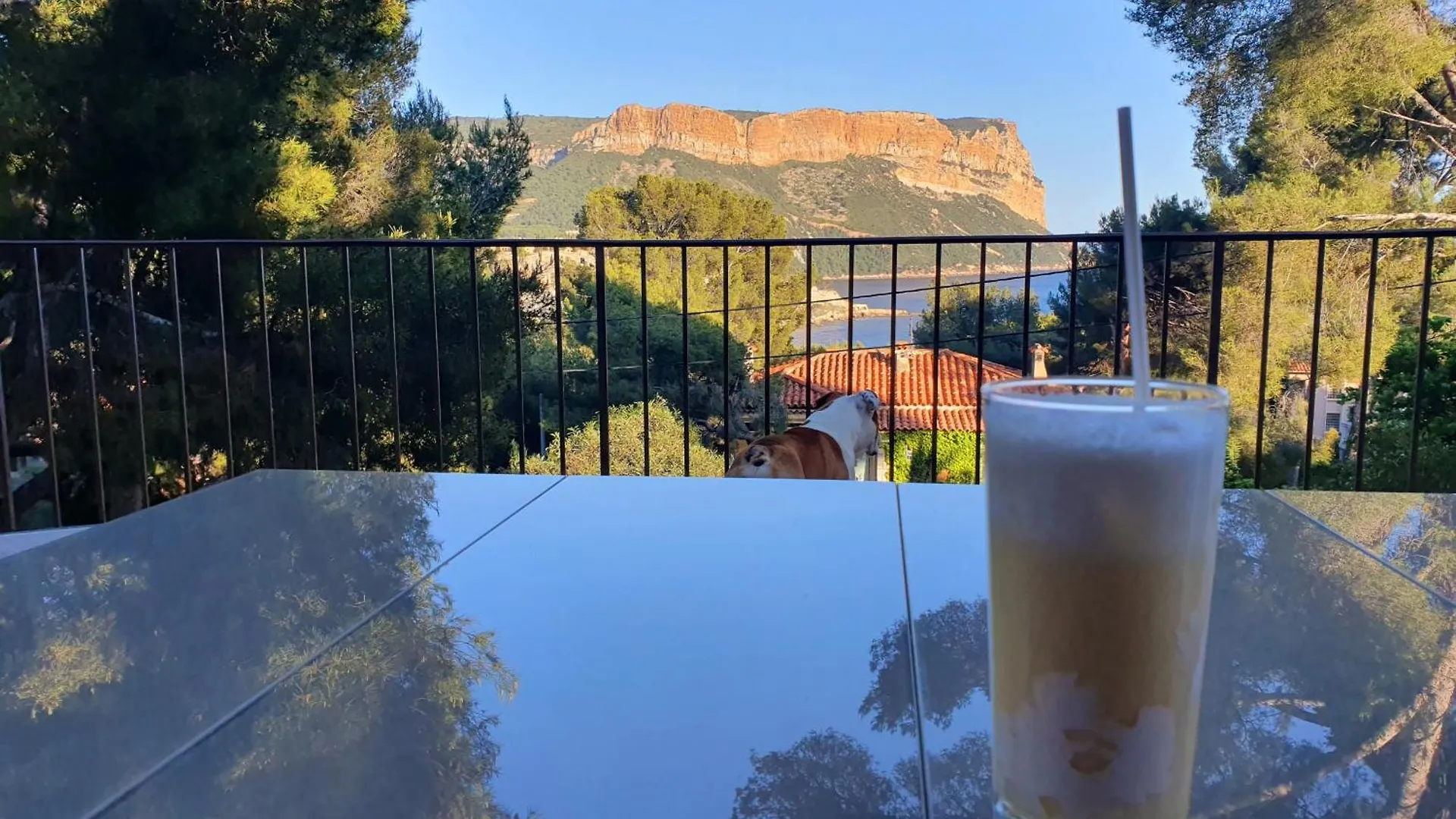Appartements Avec Jardin Dans Villa Rocaille Cassis 0*,
